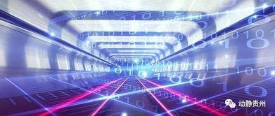 貴州獲批建設貴陽-貴安國際互聯網數據專用通道，互聯網數據服務迎來新機遇